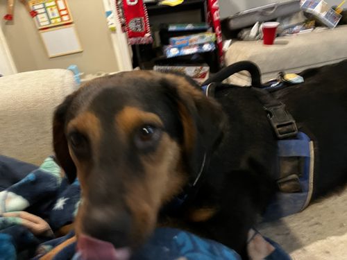 Customer photo review of Beach Silicone