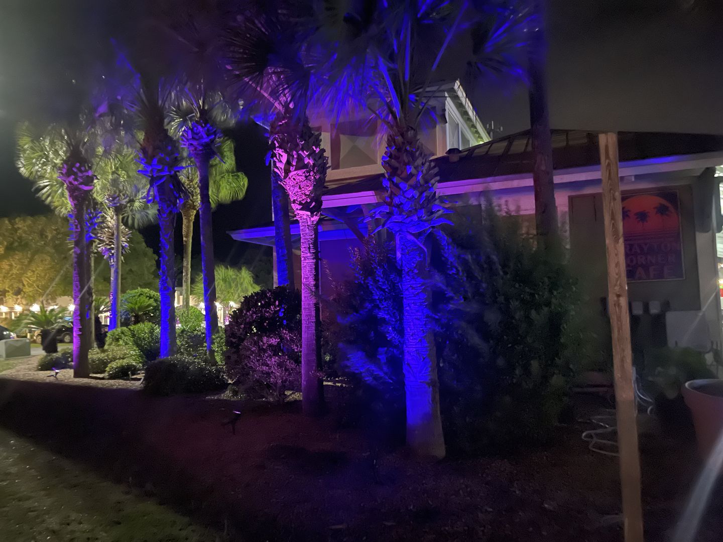 Customer photo review of TSUN 4/7 LEDs Outdoor Solar Spot Lights