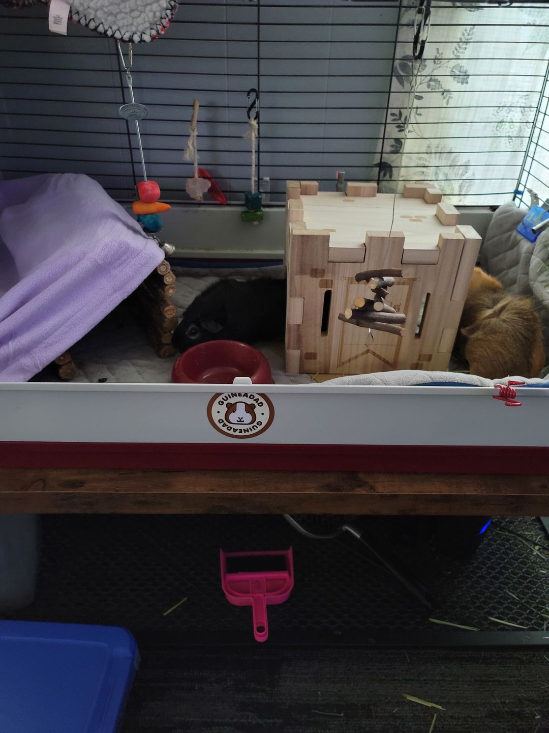 Customer photo review of GuineaDad Wooden Castle