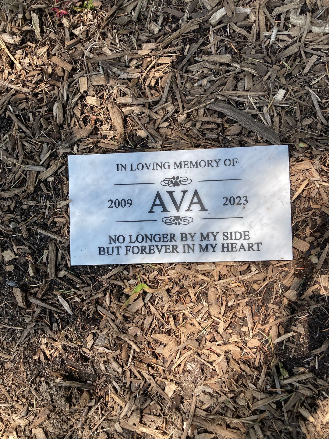 Customer photo review of Pet headstones, Grave Marker, Custom Outdoor Engraved Pet Stone In Loving Memory
