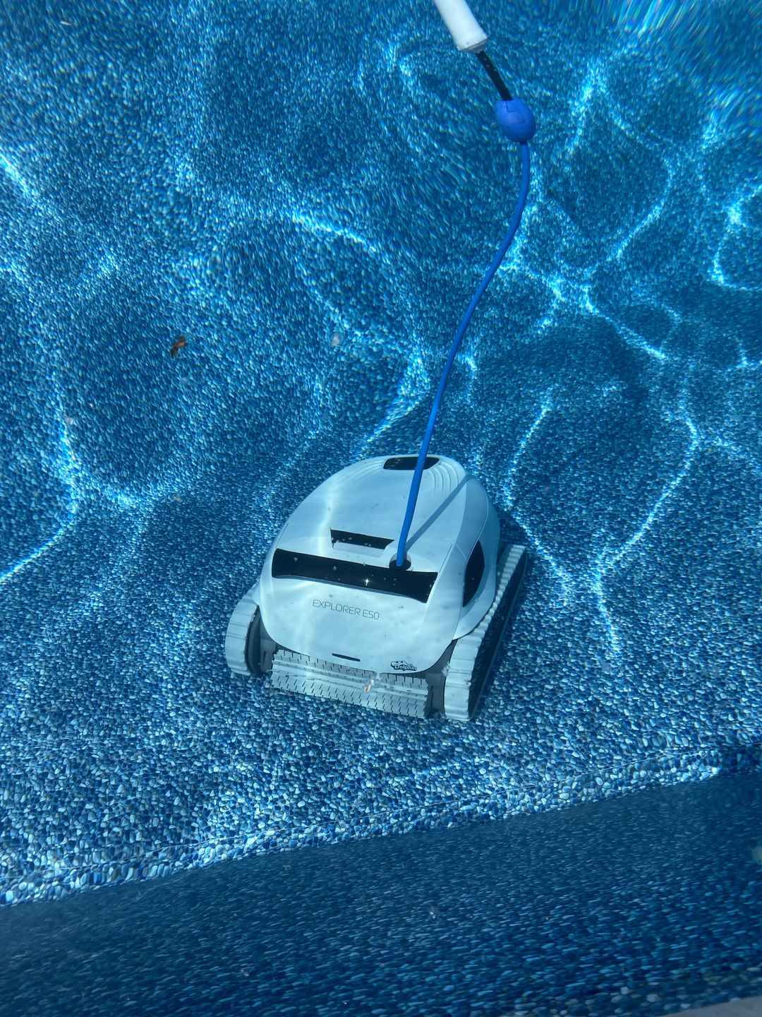 Customer photo review of Maytronics Dolphin Explorer E50
