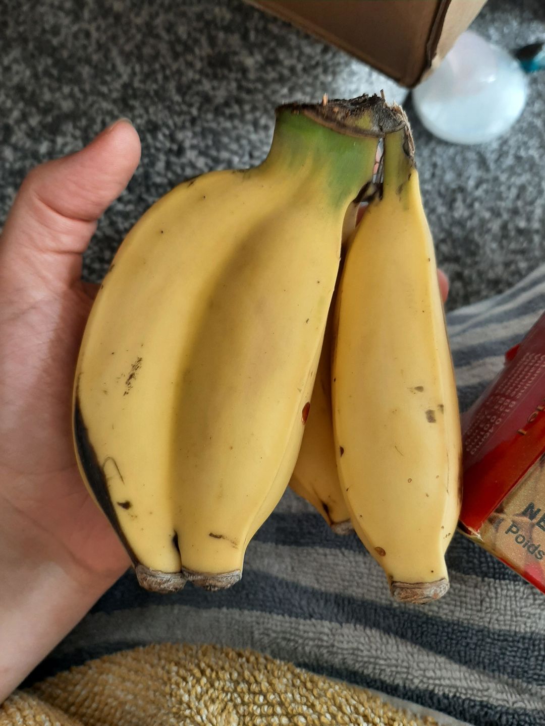 Customer photo review of Baby Bananas