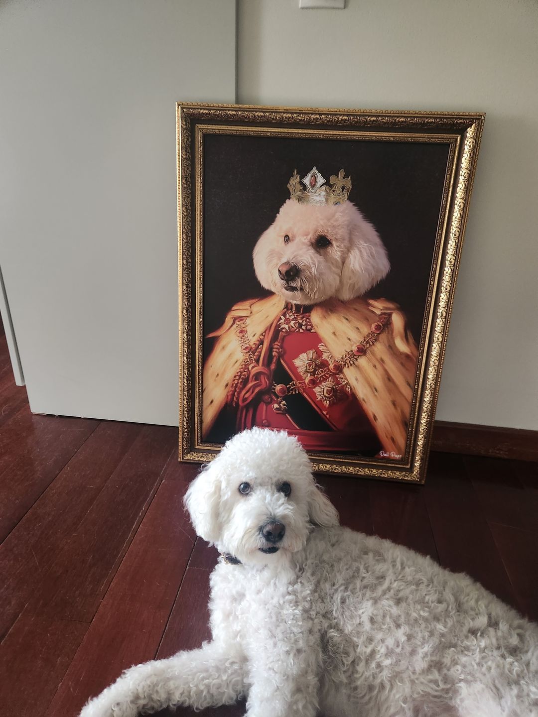Customer photo review of The King of the Seven Kingdoms