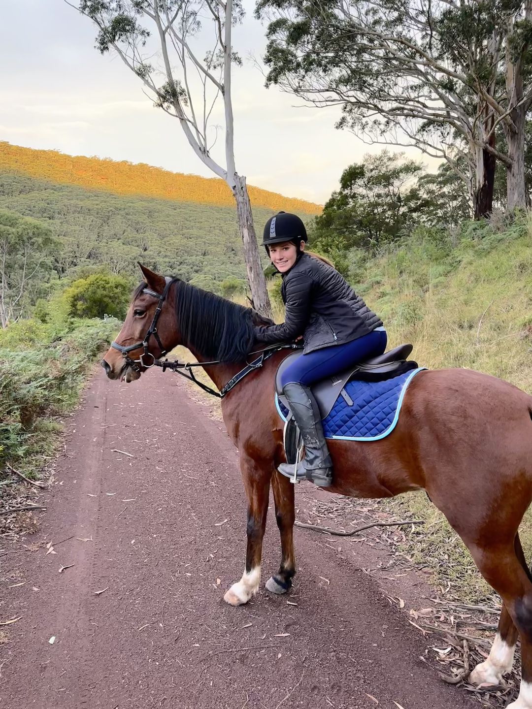 Customer photo review of Rambo Micklem Breastplate 3-Point