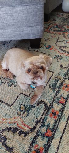 Customer photo review of Beach Silicone