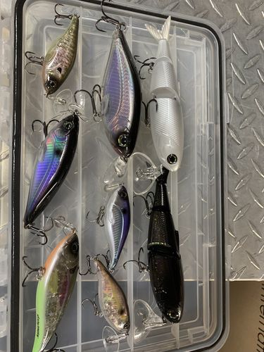 Customer photo review of Headbanger Spitfire 6.5"