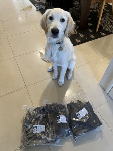 Customer photo review of Fresh Ocean Sardines