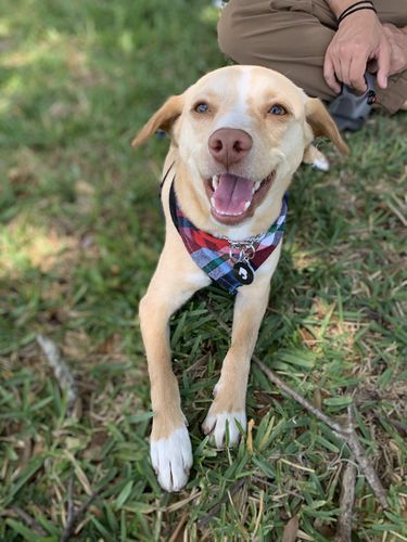 Customer photo review of Black