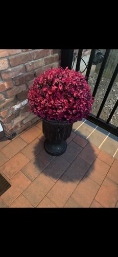 Customer photo review of Bulk Artificial Boxwood Topiary Ball Shaped Fall and Winter Plants Indoor/Outdoor Wholesale