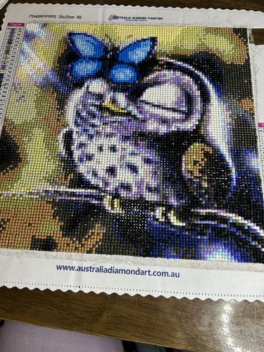 Customer photo review of Full Drill - 5D DIY Diamond Painting Kits Cartoon Lovely Butterfly and Owl