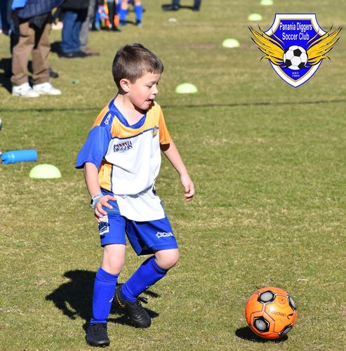 Customer photo review of T-Spec Series IV - Club Training Football