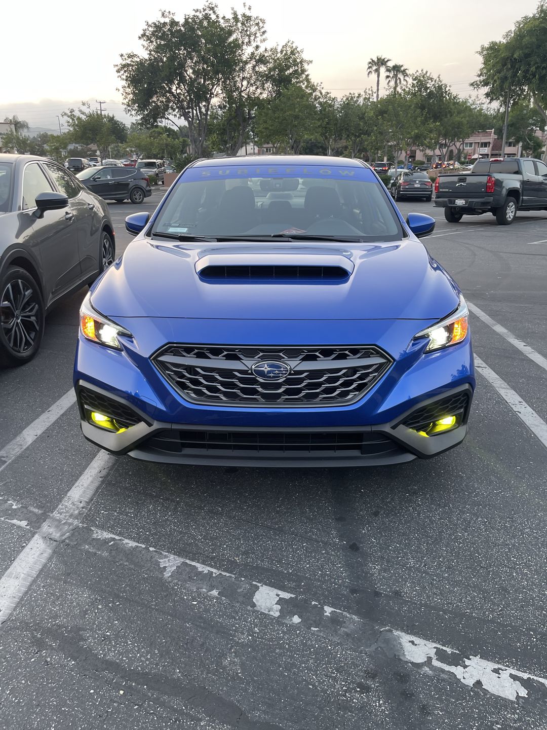 Customer photo review of Reverse Cut Windshield Banners