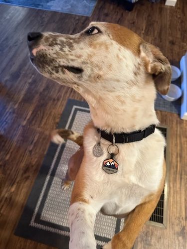 Customer photo review of Explorer Silicone