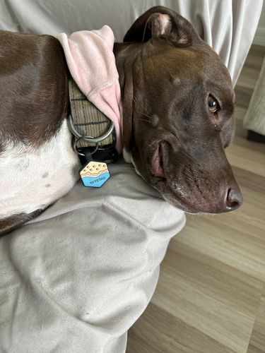 Customer photo review of Beach Silicone