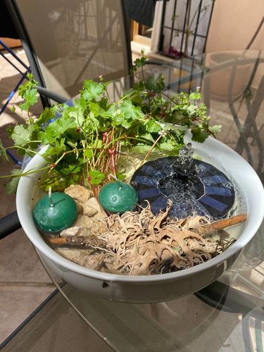 Customer photo review of Springbrunnen-Pumpe  (Solar betrieben)