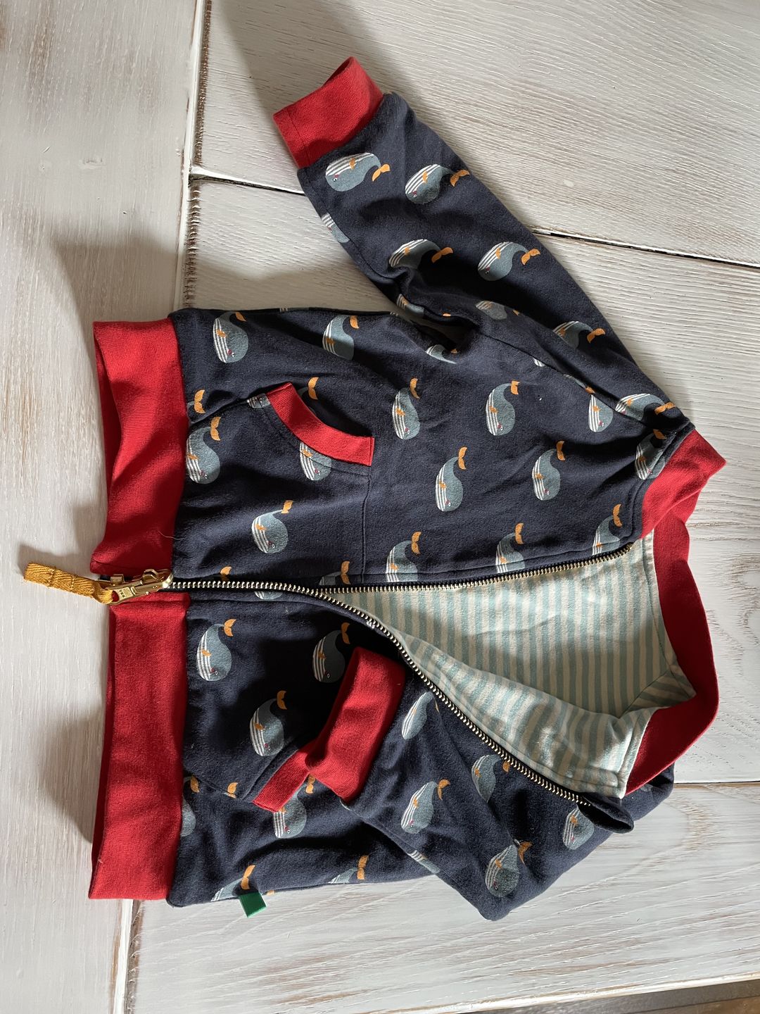 Customer photo review of Whale Song Reversible Easy Rider Jacket