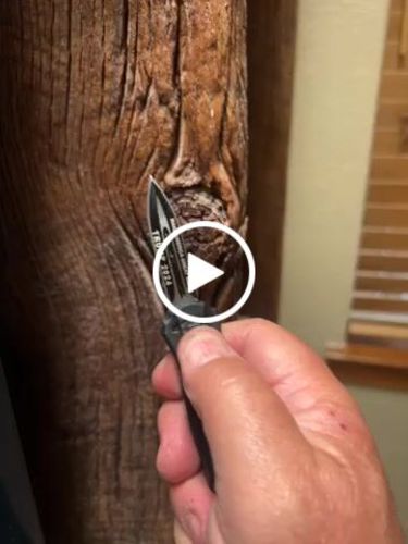 Customer video review of MINI TRUMP