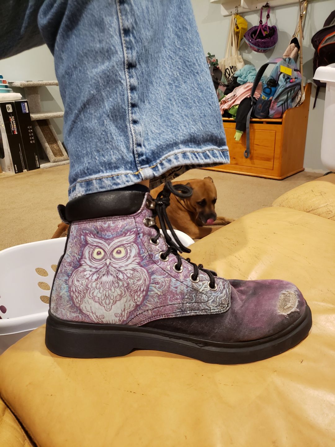 Customer photo review of Cosmic Turtle Boots