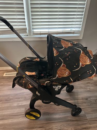 Customer photo review of Summer - Highland Cow (Grey)