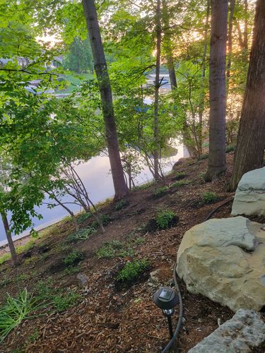 Customer photo review of Creeping Myrtle Vinca