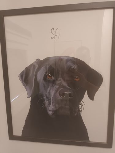 Customer photo review of Πορτραίτο Κατοικίδιου - Πόστερ με κάδρο