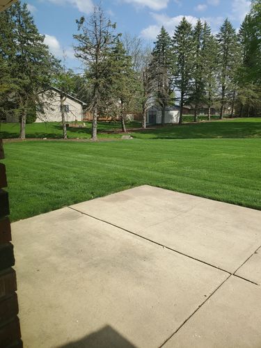 Customer photo review of N-Ext Humic12