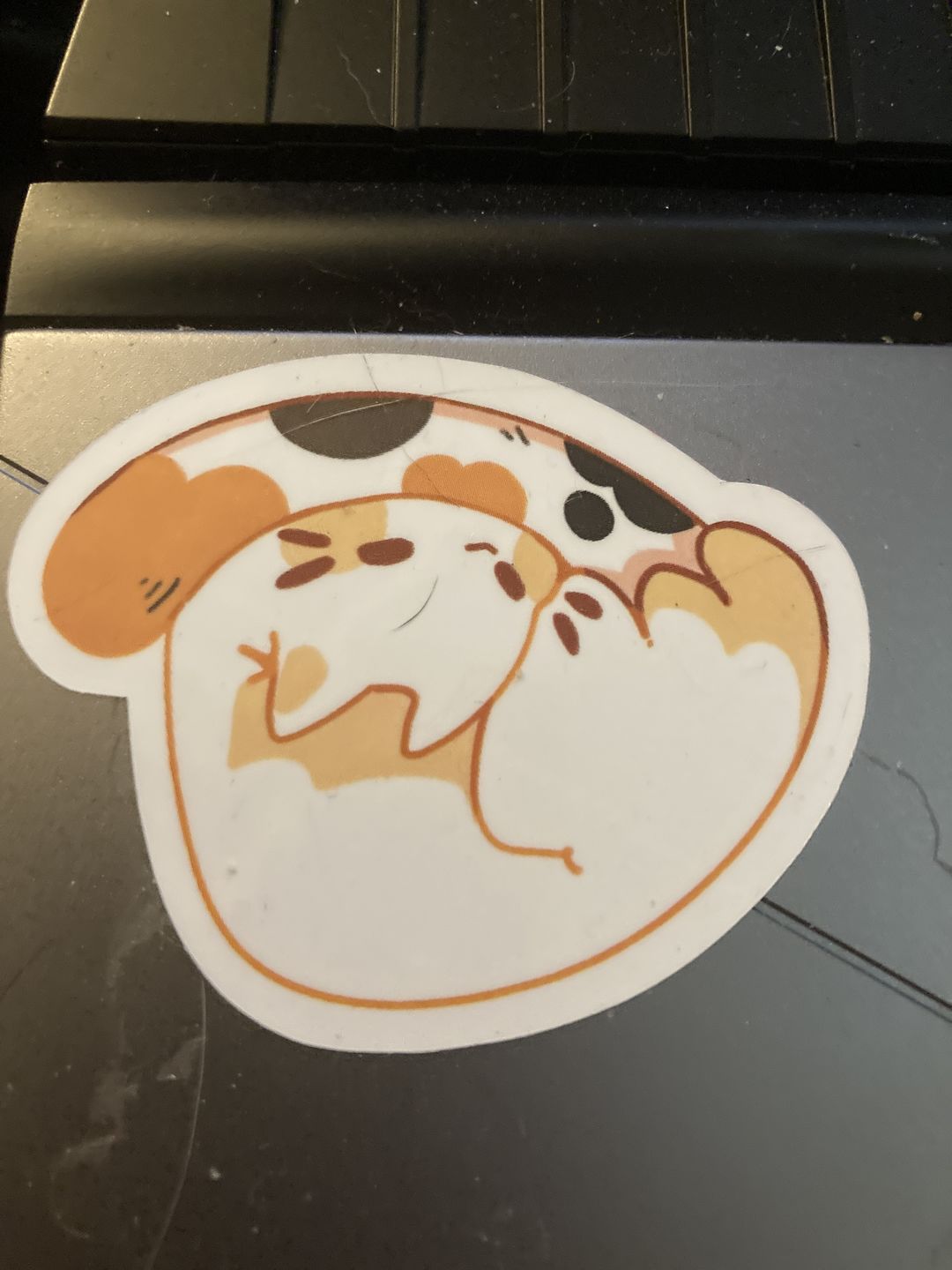 Customer photo review of Cute Ghost Cat Stickers!