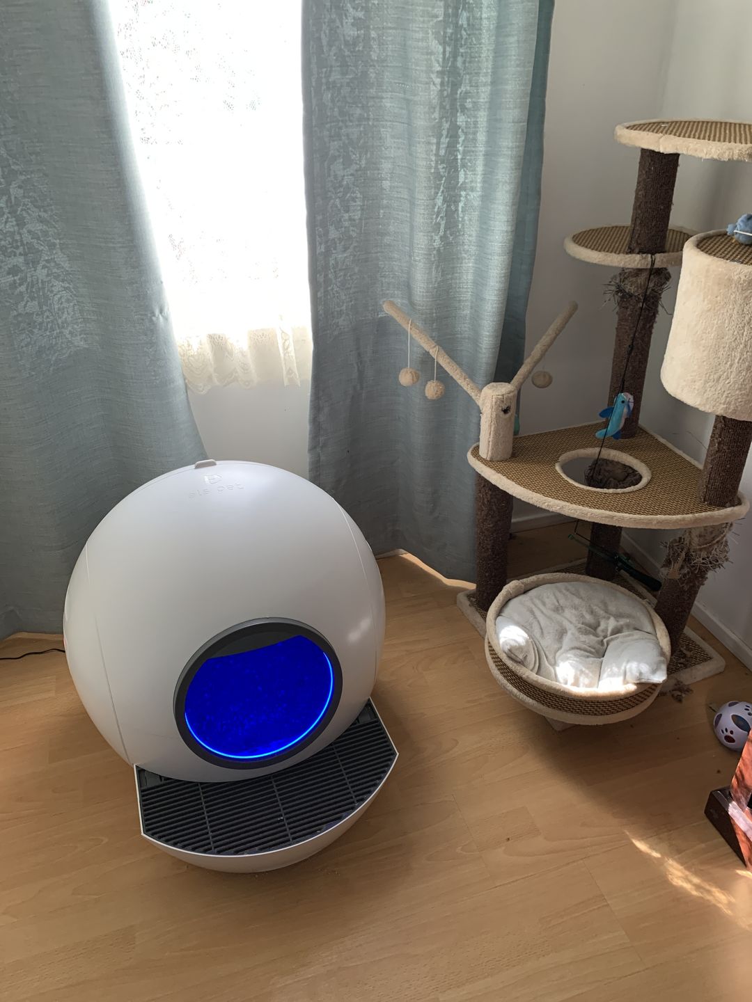 Customer photo review of PaWz Automatic Smart Cat Litter Box
