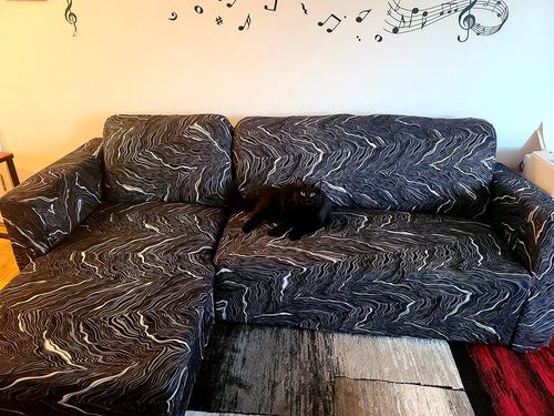 Customer photo review of L Shape Sofa Cover