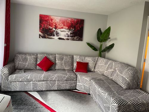 Customer photo review of L Shape Sofa Cover