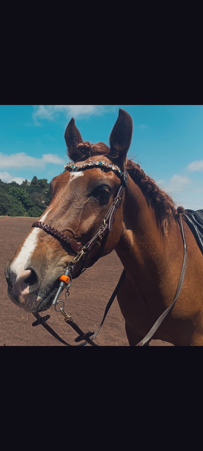 Customer photo review of Ania browband