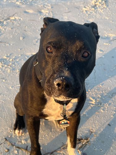 Customer photo review of Explorer Silicone