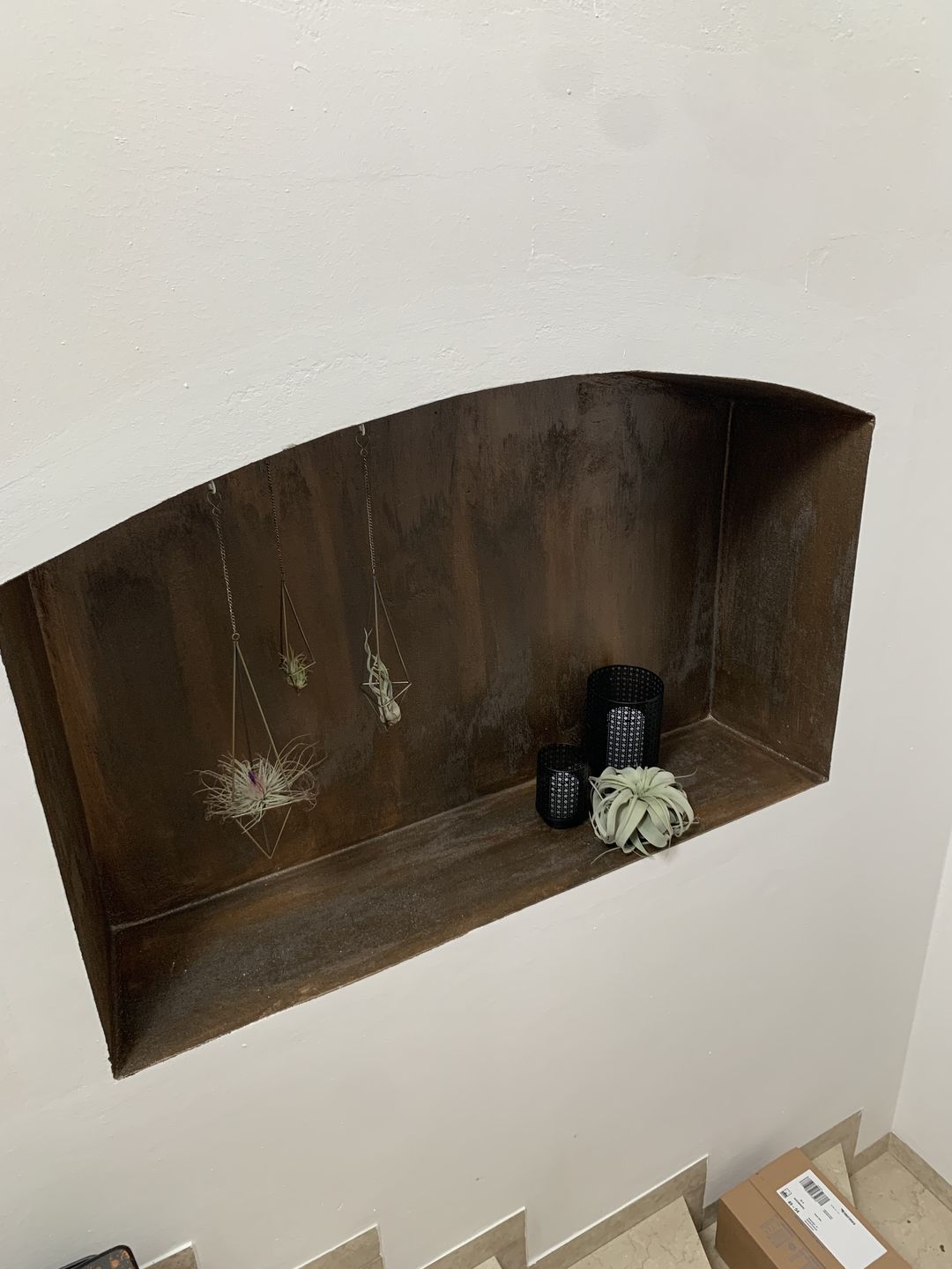 Customer photo review of Tillandsia xerographica
