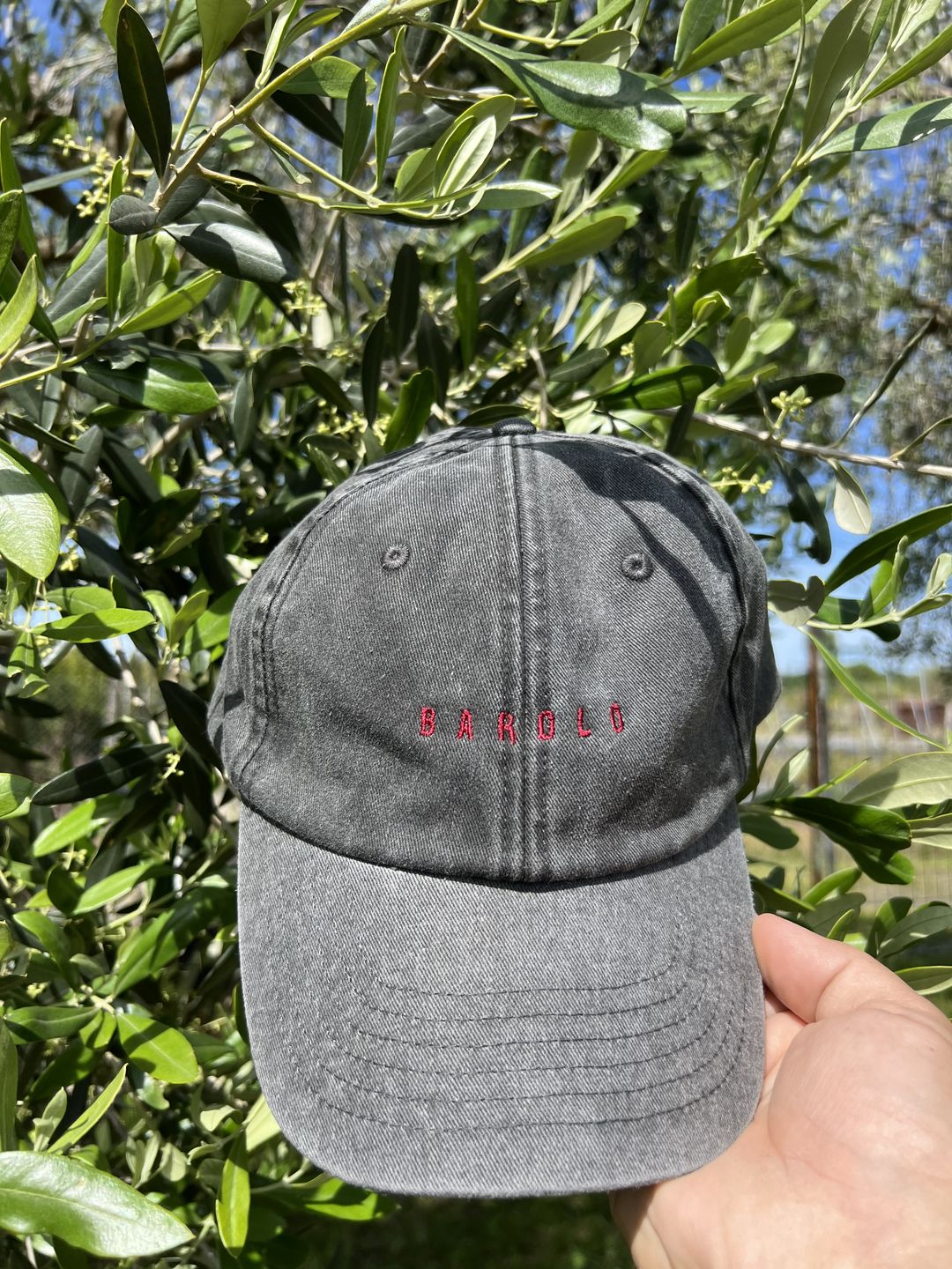 Customer photo review of The Barolo Vintage Hat
