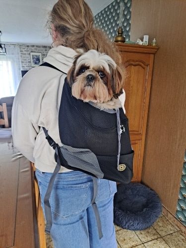 Customer photo review of DogFri™ Backpack - Åndbar Hund Bærer