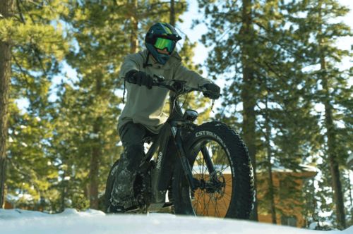 Customer photo review of Leopard-Smoky Black Fat Tires Electric Mountain Bike