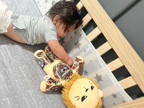 Customer photo review of Samuele the Alpha Male Lion