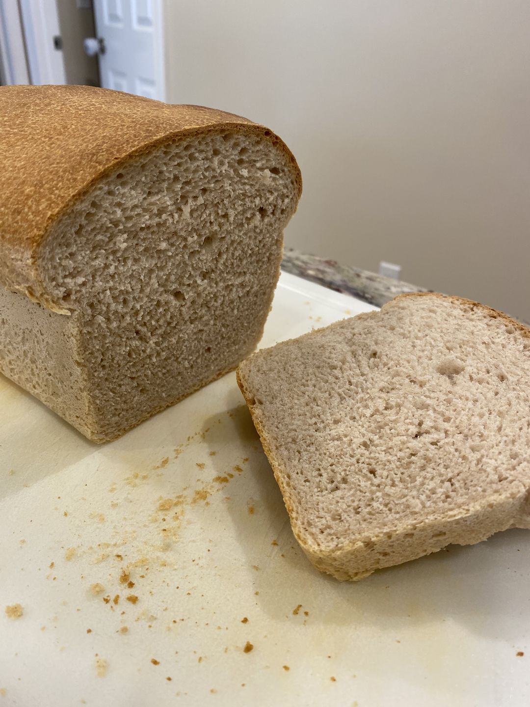 Customer photo review of Dehydrated Sourdough Starter Kit