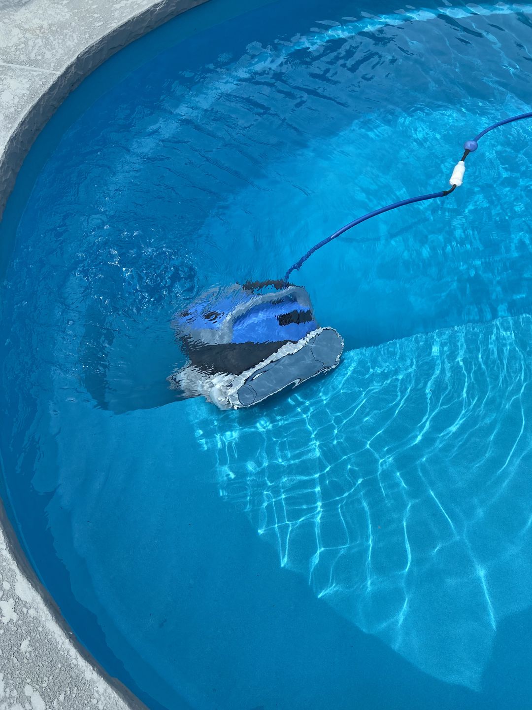 Customer photo review of Ships Next Day Maytronics Dolphin M600 Robotic Pool Cleaner