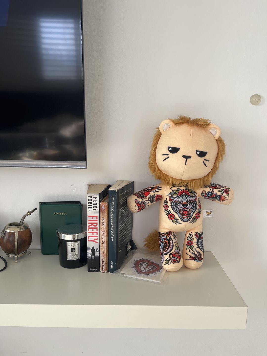 Customer photo review of Samuele the Alpha Male Lion