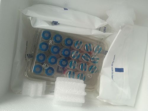 Customer photo review of Vanguard Plus 5 L4 CV