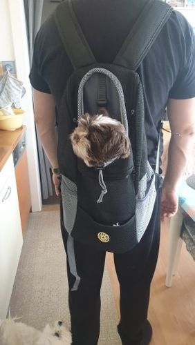 Customer photo review of DogFri™ Backpack - Åndbar Hund Bærer