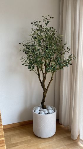 Customer photo review of Kunst Olijfboom 1 150cm