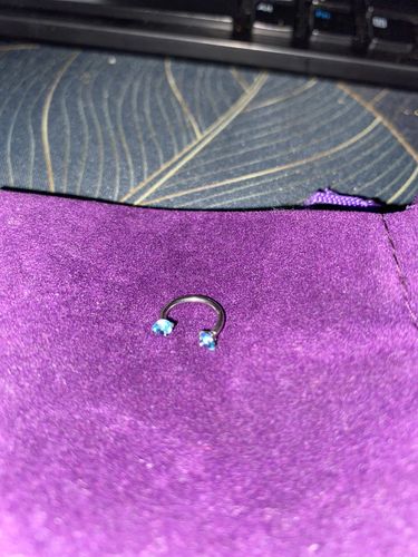 Customer photo review of Double Gem Internally Threaded Horseshoe