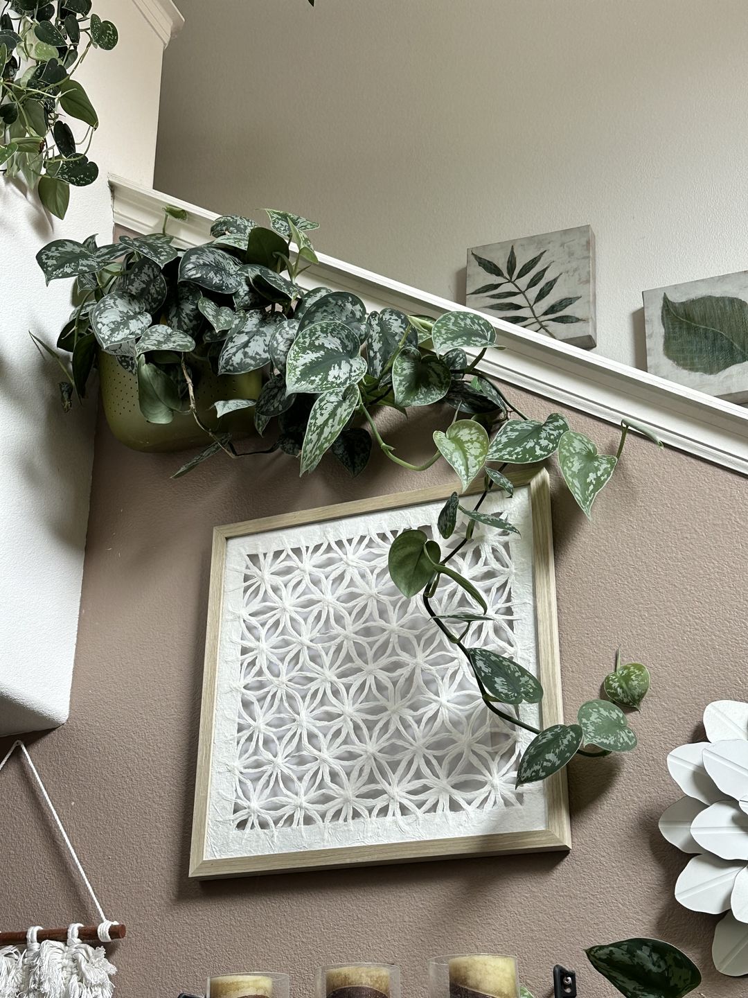 Customer photo review of Eco Olive Wall Planter