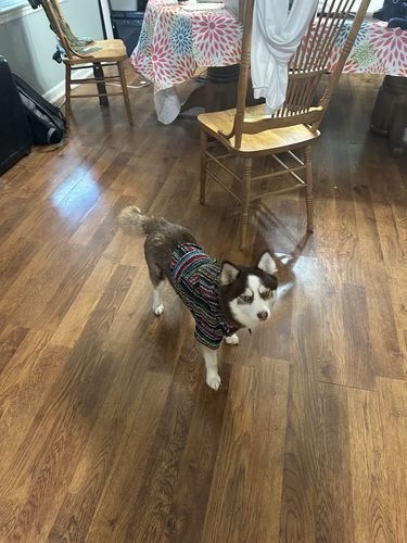 Customer photo review of Playa Poncho - Surprise Color