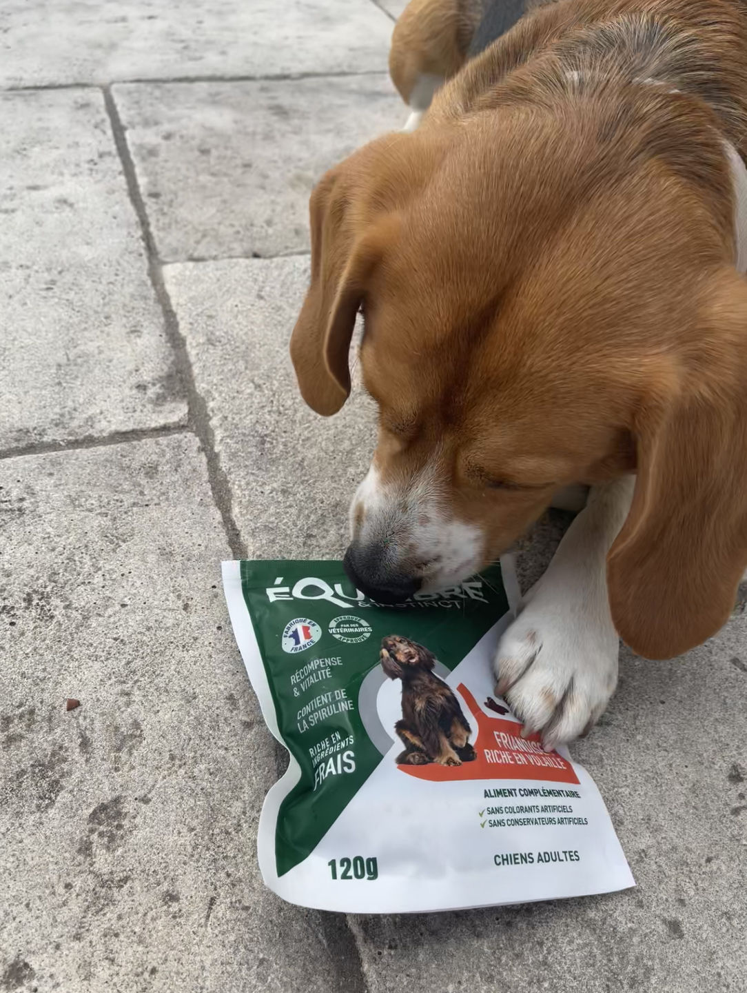 Customer photo review of Friandises riches en volaille (chien adulte)