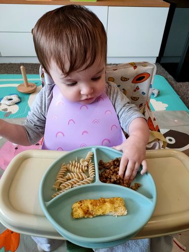 Customer photo review of Clementine baby chair v2