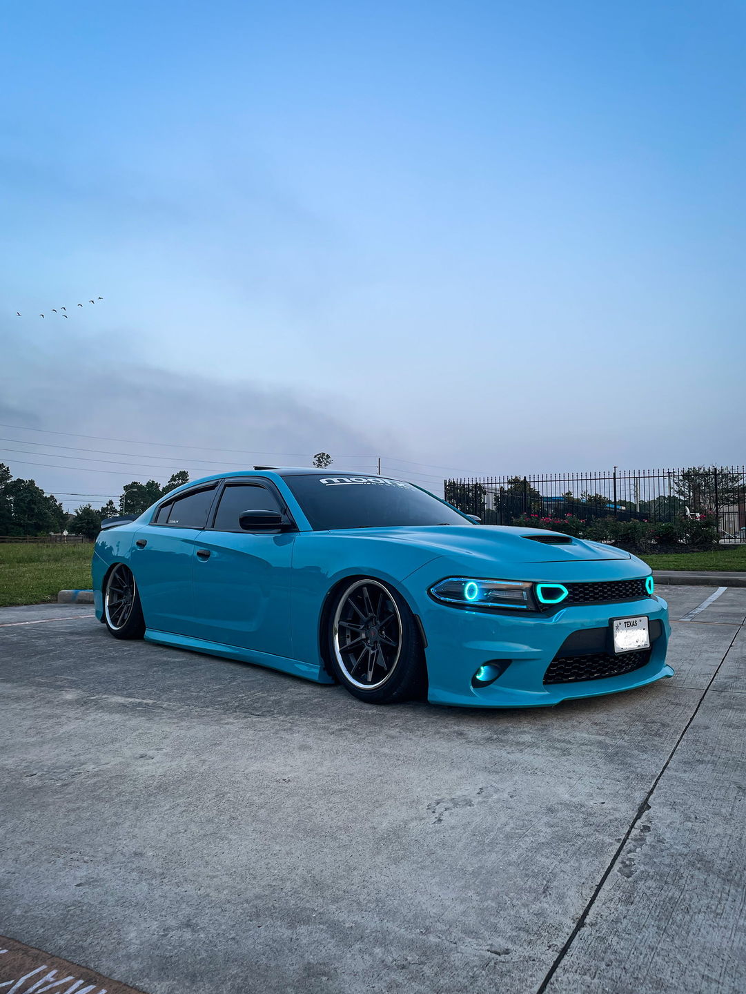 Customer photo review of High Glossy Miami Blue Vinyl Wrap