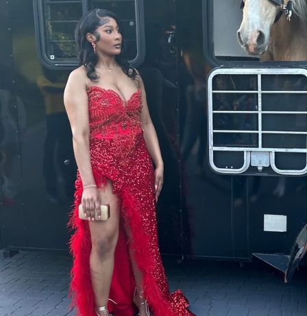Customer photo review of Red Sequin on Velvet